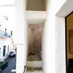 Scisa De Li Belli Parabita