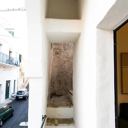 Scisa De Li Belli Parabita
